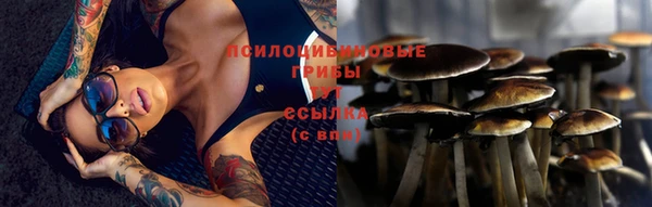 бошки Балахна