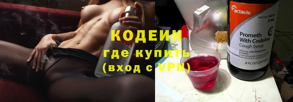 круглые Тайга