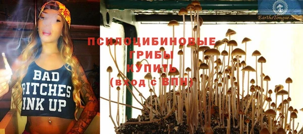 2c-b Белоозёрский