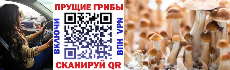 Галлюциногенные грибы мухоморы  Ворсма 